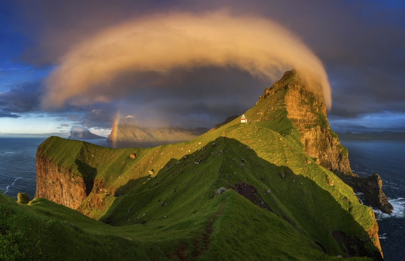Finalists of the "Best Nature Photographer — 2017" contest from National Geographic