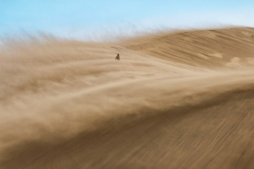 Finalists of the "Best Nature Photographer — 2017" contest from National Geographic