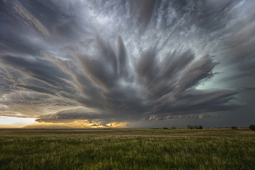 Finalists of the "Best Nature Photographer — 2017" contest from National Geographic