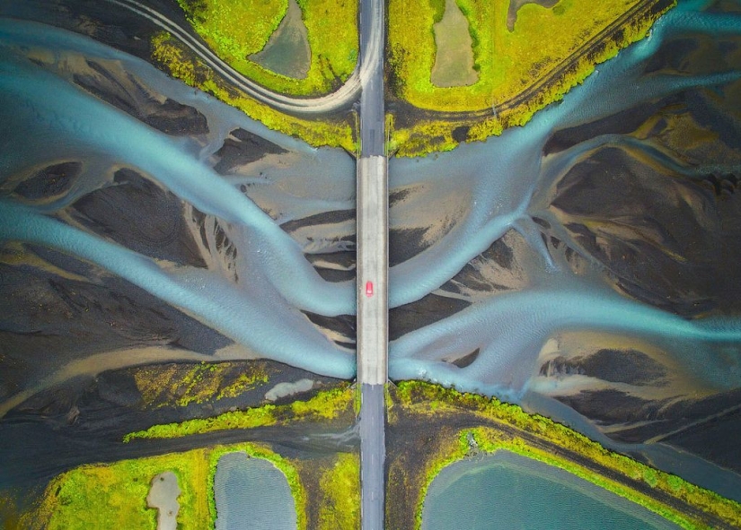Finalists of the "Best Nature Photographer — 2017" contest from National Geographic