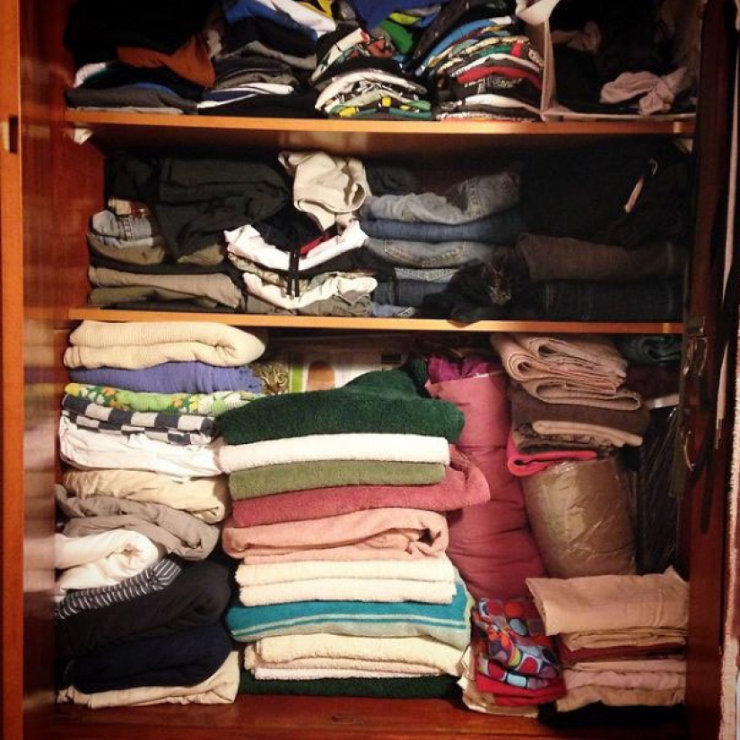 Find a cat: cunning mustachioed-striped, which can not be found in the photo Find a cat: cunning mustachioed-striped, which can not be found in the photo