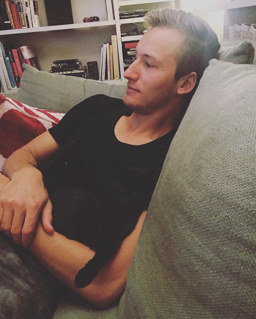 Find a cat: cunning mustachioed-striped, which can not be found in the photo Find a cat: cunning mustachioed-striped, which can not be found in the photo