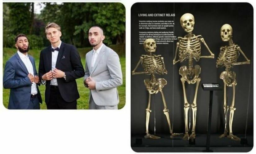 "Fix my photo, James!": 30 fresh alterations from the main Photoshop troll of our time