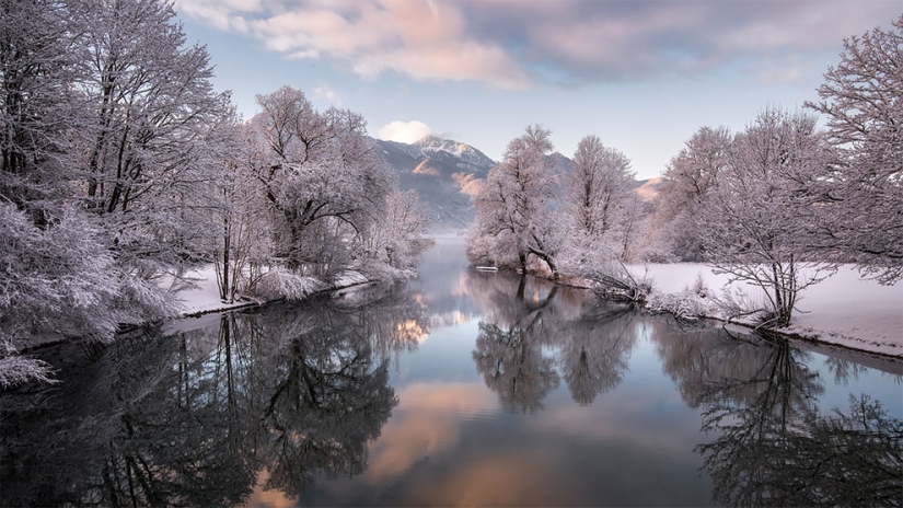 Flickr has selected the 25 best photos from users for 2017 Flickr has selected the 25 best photos from users for 2017