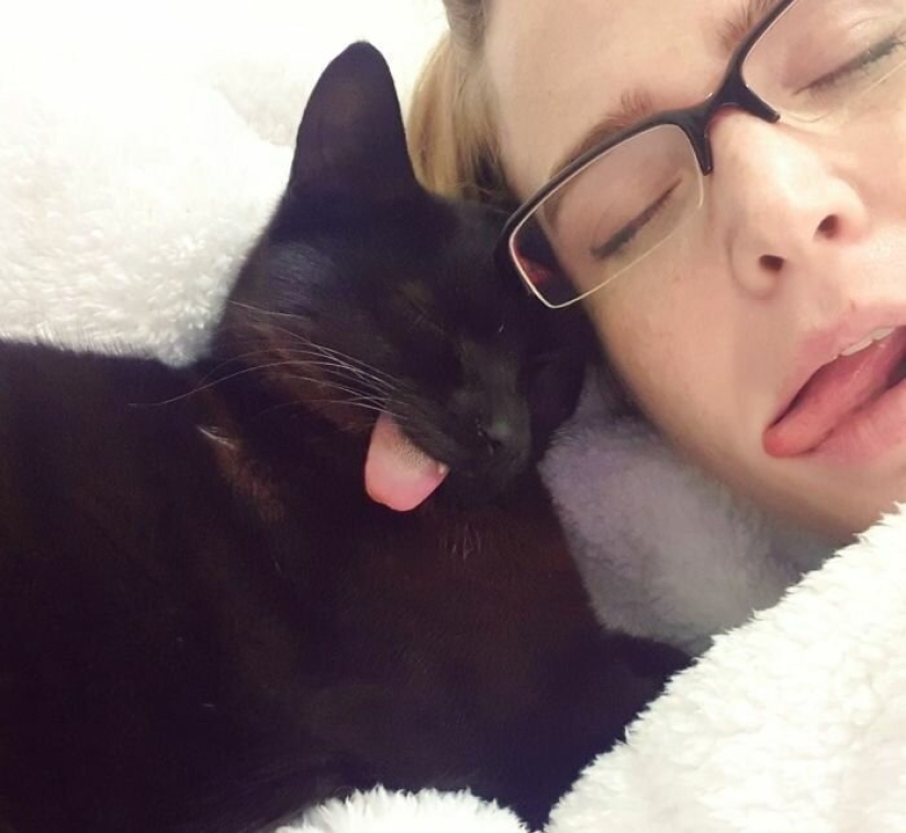 Fluffy love: how the rescued cat Tzimes with his tongue hanging out found a family Fluffy love: how the rescued cat Tzimes with his tongue hanging out found a family