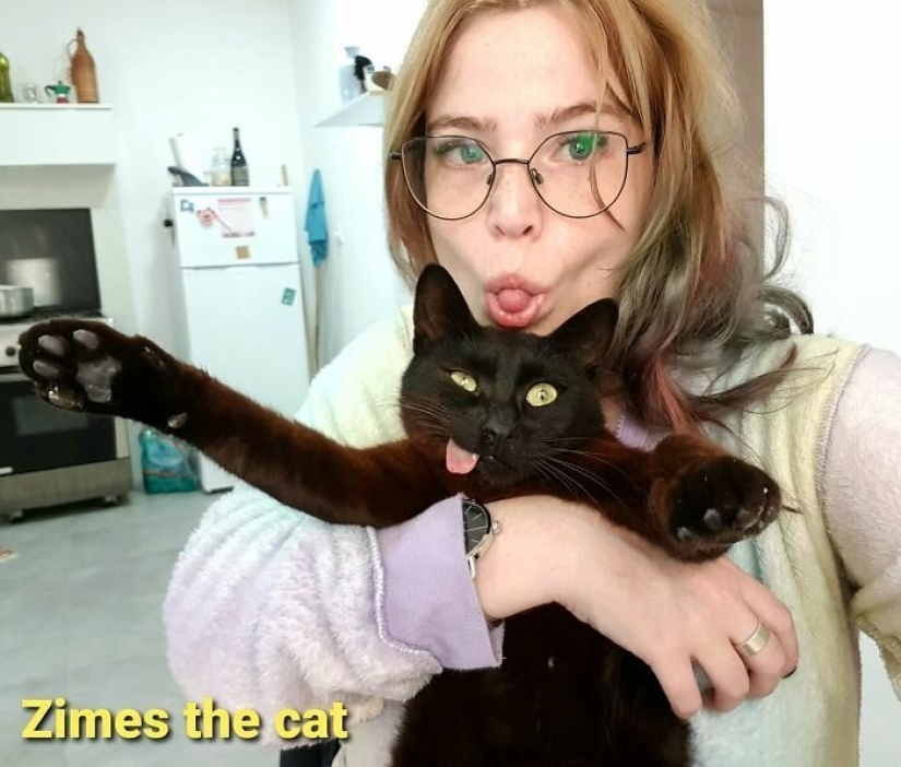 Fluffy love: how the rescued cat Tzimes with his tongue hanging out found a family Fluffy love: how the rescued cat Tzimes with his tongue hanging out found a family