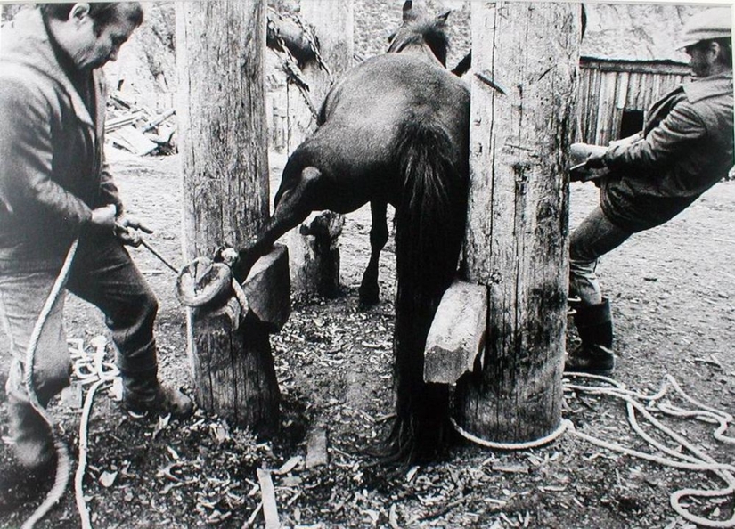 Forbidden cult images of the Lithuanian photographer Vitas Luckus