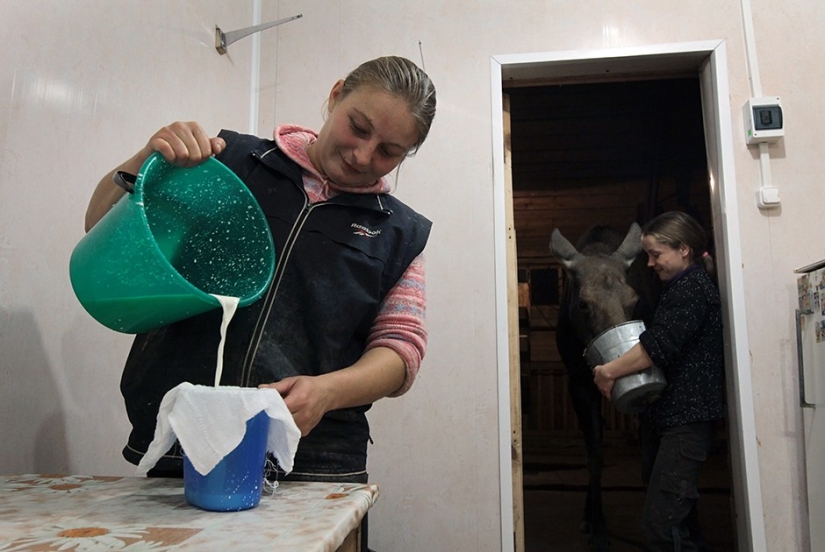 Forgotten delicacies return to the bosom of high Russian cuisine