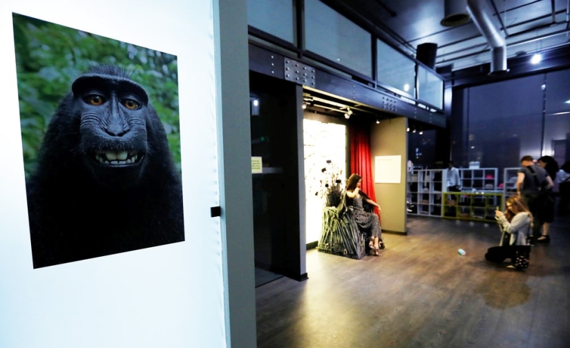 Former Comedy Club resident opened a selfie museum in the USA