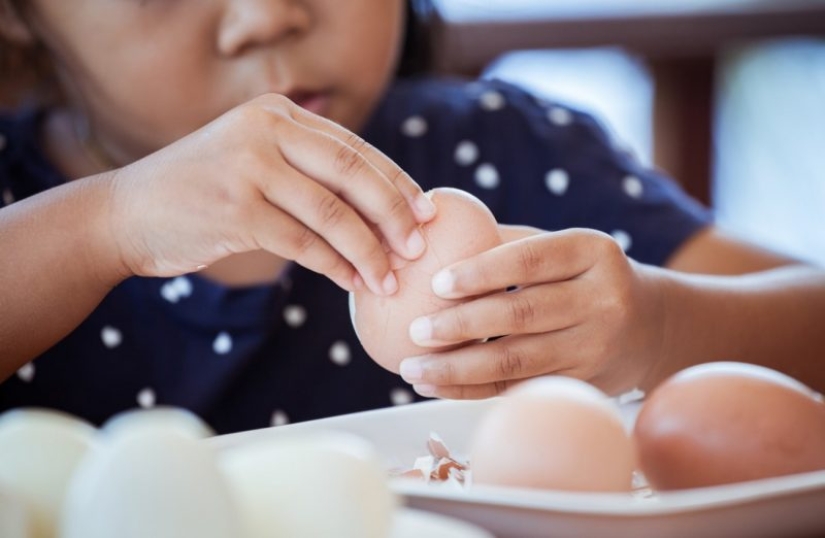 ¡Fortalece los huesos! ¿Qué alimentos contienen más calcio que la leche?