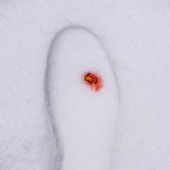 Fotógrafo utiliza objetos cotidianos para crear mundos diminutos