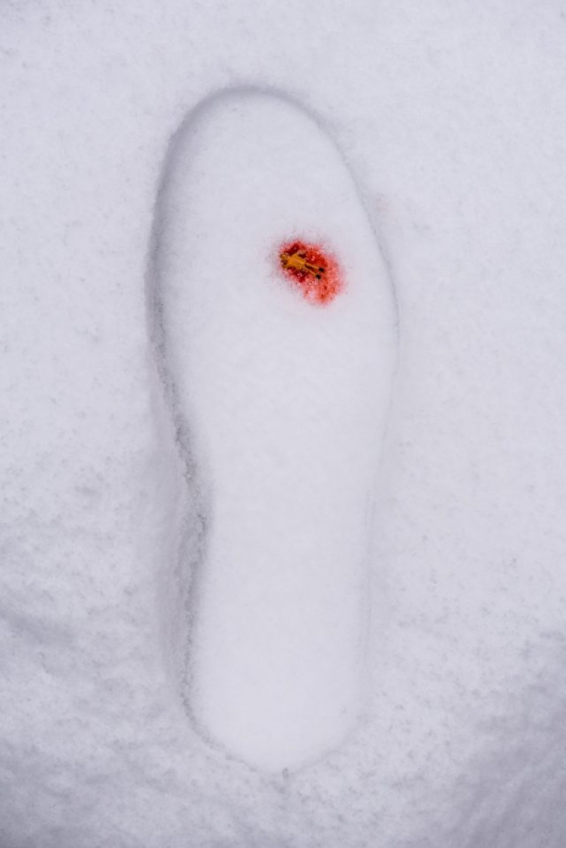 Fotógrafo utiliza objetos cotidianos para crear mundos diminutos