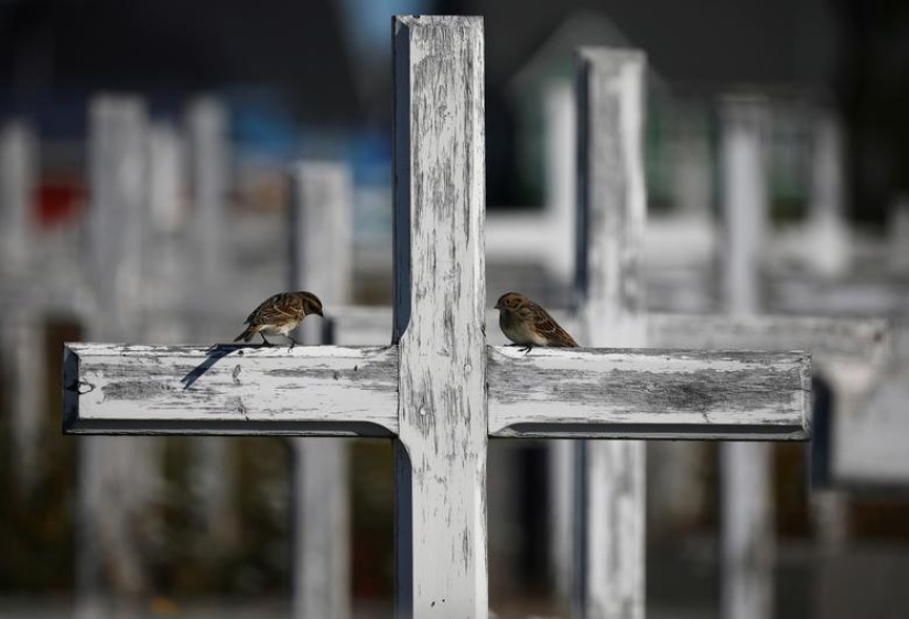 Foto de Groenlandia