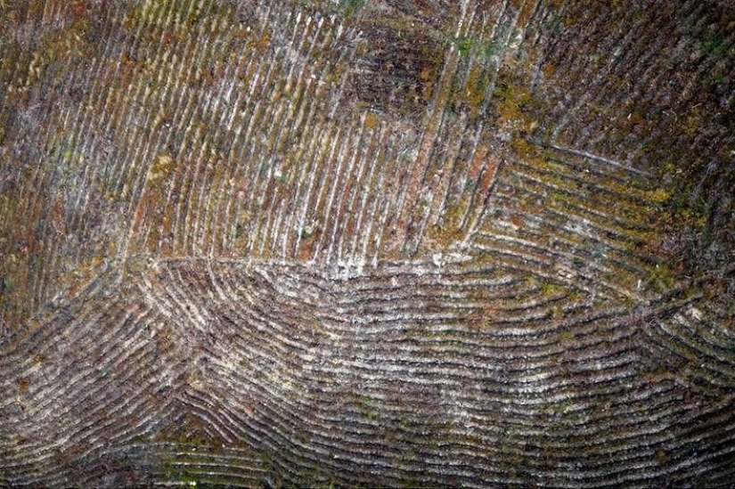 Fotografías aéreas de Kasper Kowalski