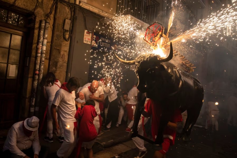Fotos de la semana: Oil Wrestling, Flaming Bull, Gorgosaurus Sale