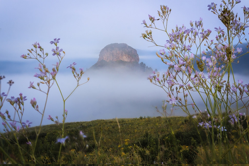 Fotos exclusivas de una exposición cerrada dedicada a la infranqueable Reserva Natural de Tigirek