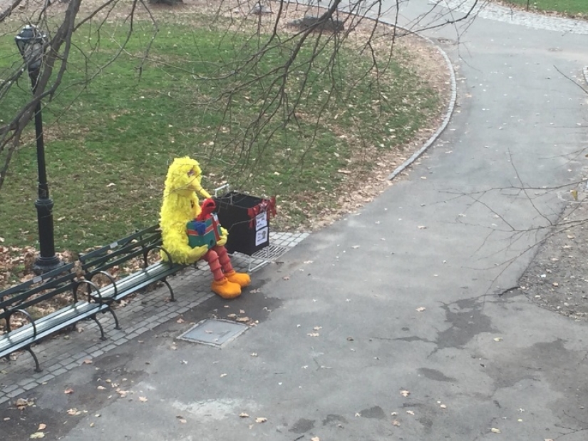 Fotos impactantes que te pondrán la piel de gallina Fotos impactantes que te pondrán la piel de gallina