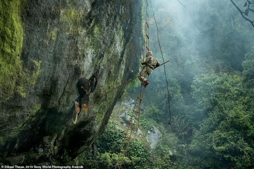 Fotos impresionantes: los mejores trabajos de los Sony World Photography Awards 2019