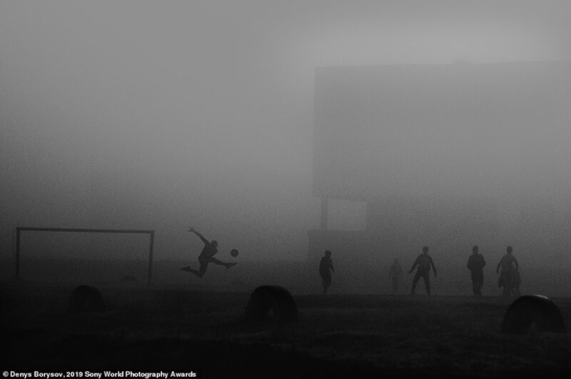 Fotos impresionantes: los mejores trabajos de los Sony World Photography Awards 2019
