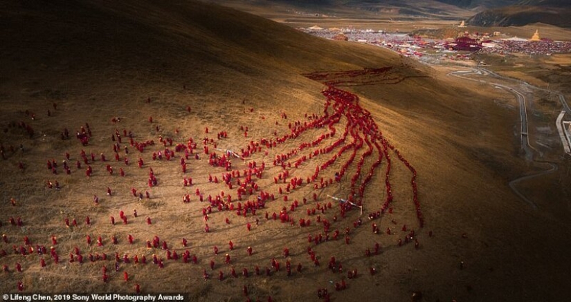 Fotos impresionantes: los mejores trabajos de los Sony World Photography Awards 2019