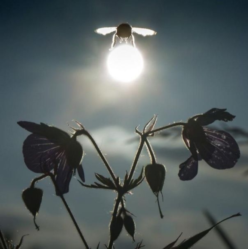 12 fotos tomadas en el momento más oportuno 12 fotos tomadas en el momento más oportuno
