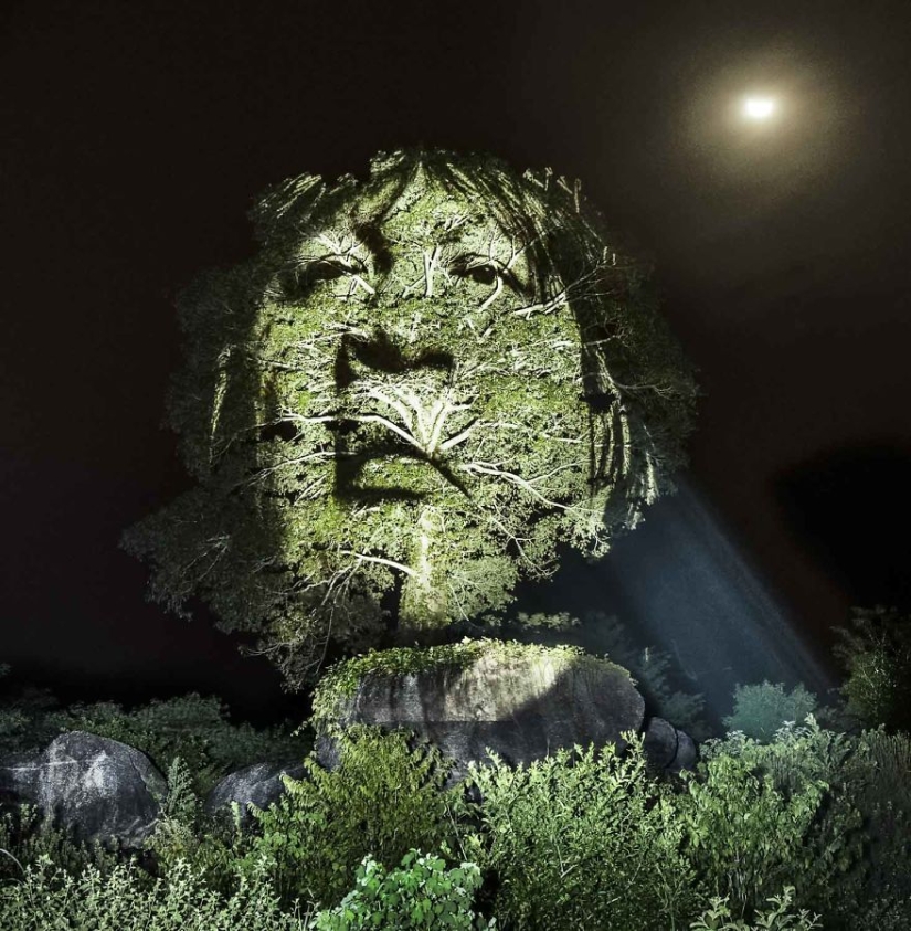 French artist paints with light in the Amazon jungle French artist paints with light in the Amazon jungle