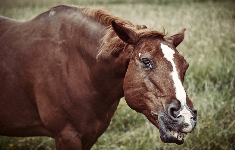From April 1! 10 facts about smiling and laughing From April 1! 10 facts about smiling and laughing