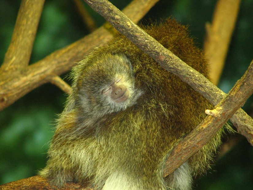 From April 1! 10 facts about smiling and laughing From April 1! 10 facts about smiling and laughing