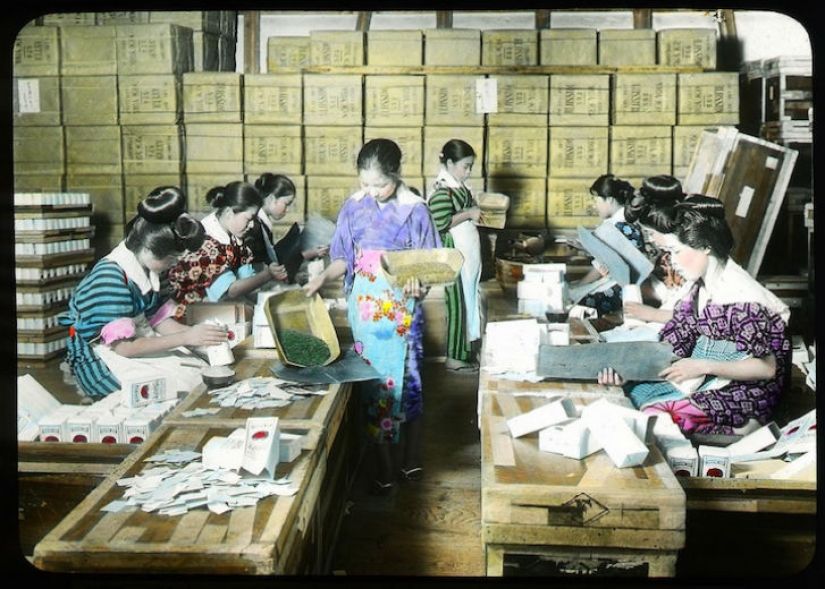 From the bush to the consumer: how tea production took place in Japan at the beginning of the XX century