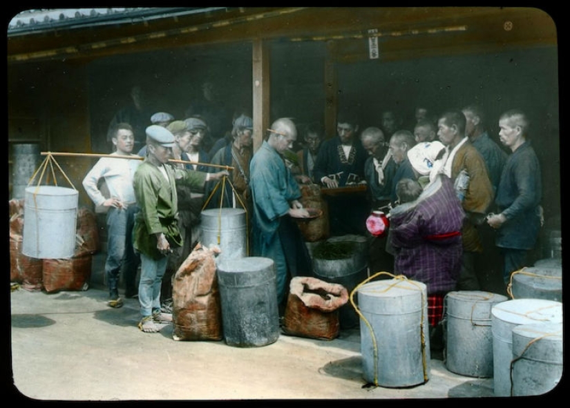 From the bush to the consumer: how tea production took place in Japan at the beginning of the XX century