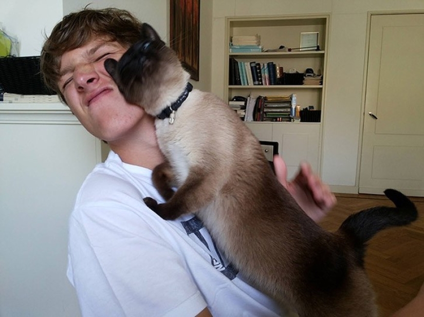 Funny animals that need the attention of the owner right now Funny animals that need the attention of the owner right now