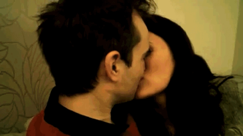 Funny animals that need the attention of the owner right now Funny animals that need the attention of the owner right now