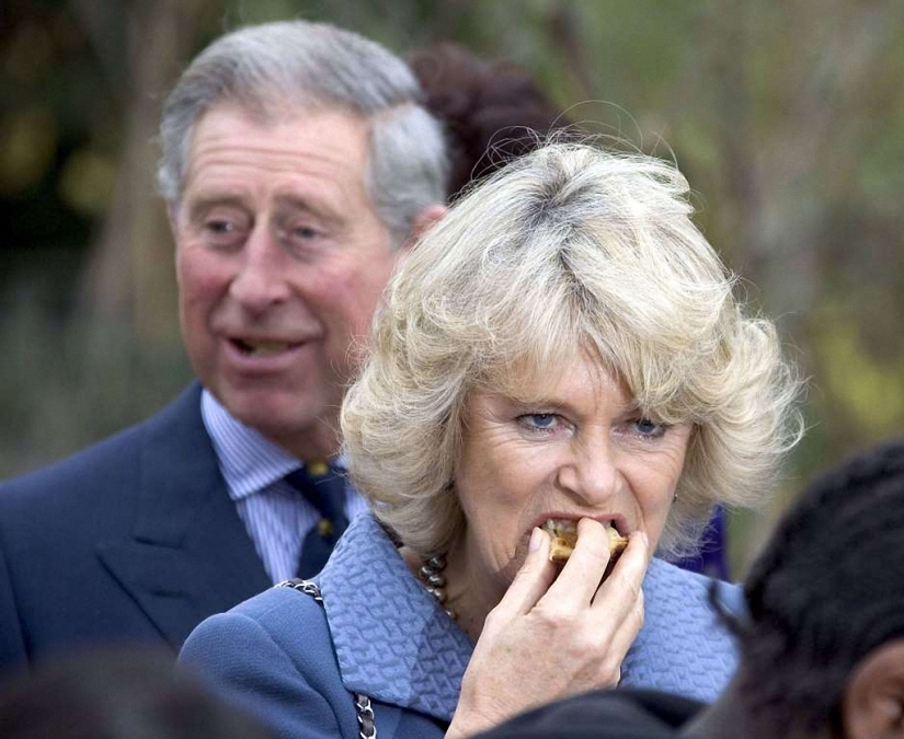Funny photos of the royal family