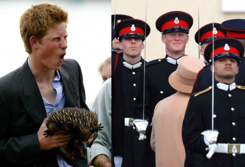 Funny photos of the royal family