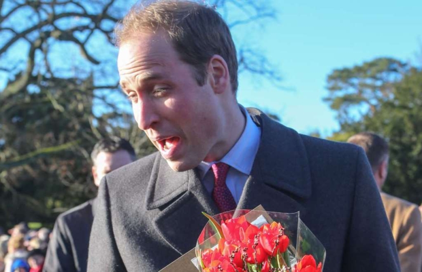 Funny photos of the royal family