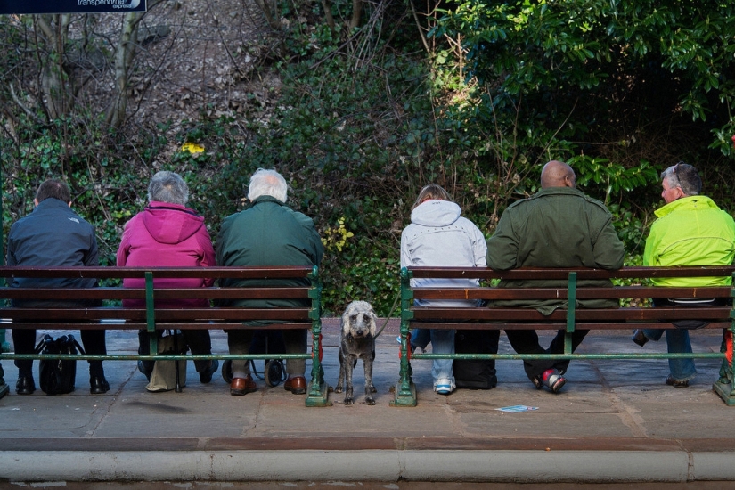 Funny street photos by Nils Jorgensen