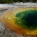 Géiseres, bisontes y otras atracciones de Yellowstone Géiseres, bisontes y otras atracciones de Yellowstone