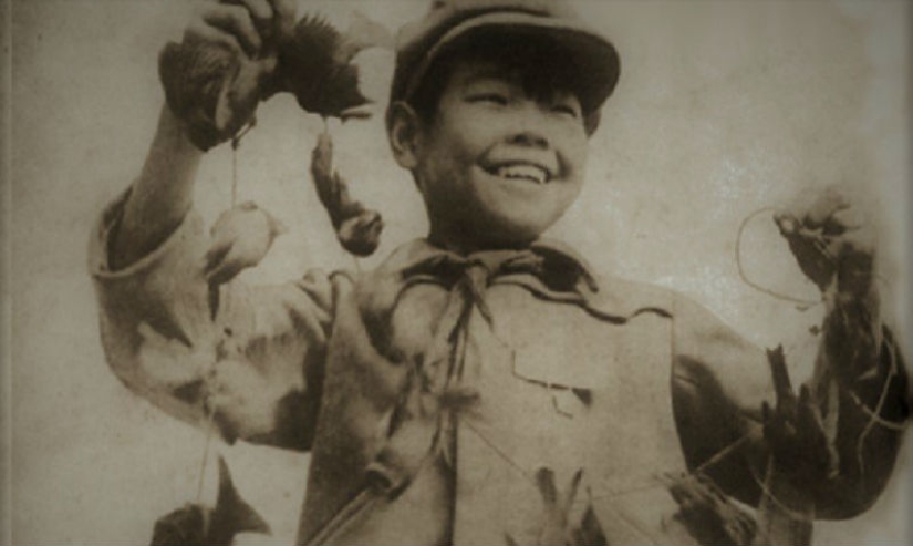 Genocidio de aves: cómo la naturaleza se vengó de los chinos por el exterminio de gorriones Genocidio de aves: cómo la naturaleza se vengó de los chinos por el exterminio de gorriones