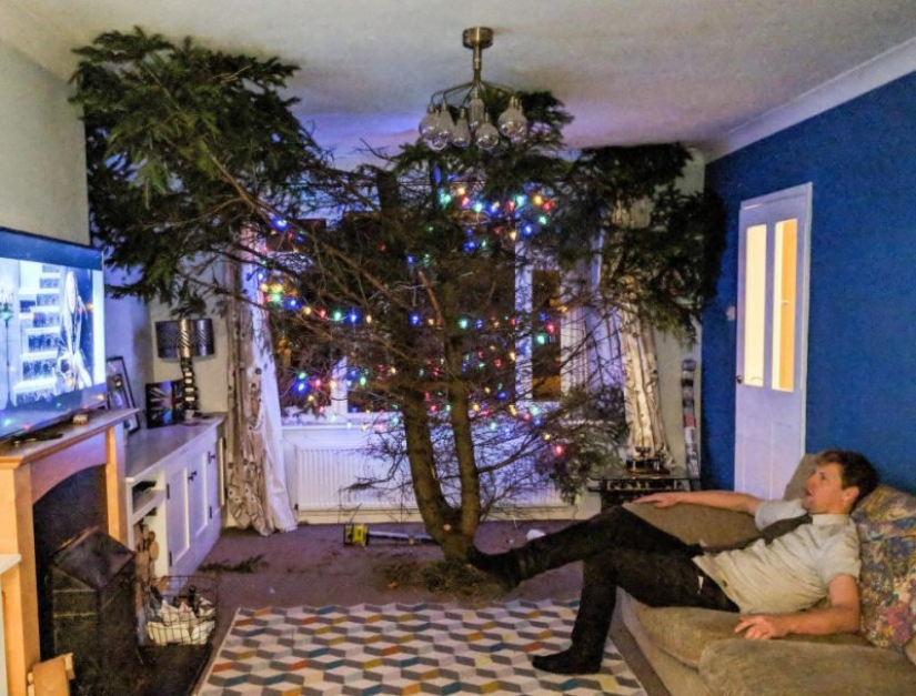 Gigantoman Dad: a Christmas tree in the house or a house on the Christmas tree