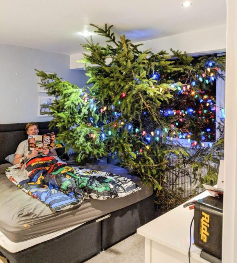 Gigantoman Dad: a Christmas tree in the house or a house on the Christmas tree