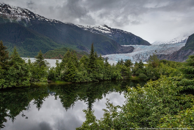 Glaciares de Alaska
