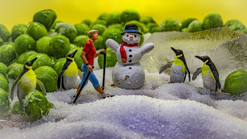 Glasgow artist inspired by what she finds in the fridge