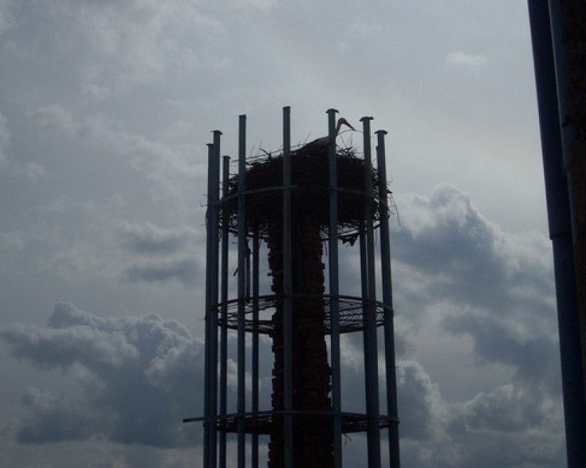God help you: A 91-year-old monk has been building a grand cathedral on his own for half a century
