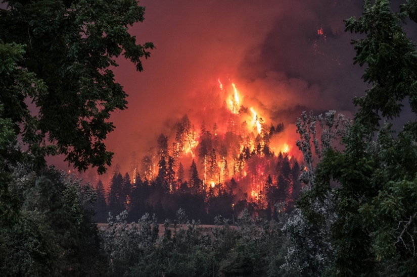Golf during the plague: players on the background of a forest fire in the USA