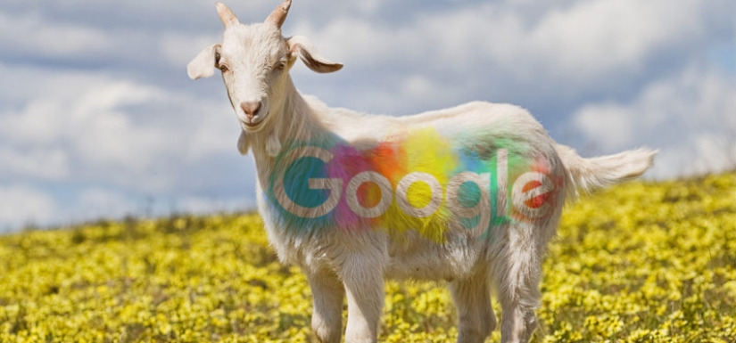 Google is 20 years old! And here are 20+ interesting facts about the company that you didn't know for sure