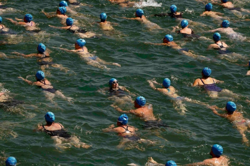Gorros azules de natación masiva en el lago de Zúrich