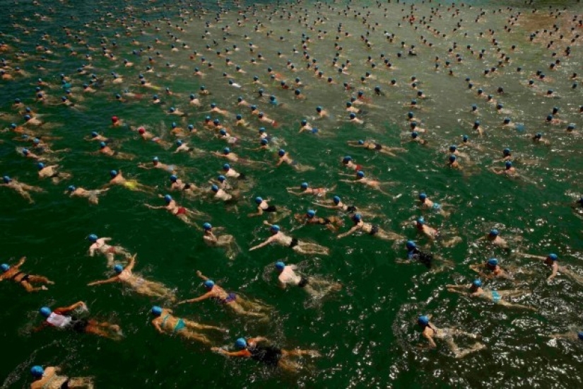 Gorros azules de natación masiva en el lago de Zúrich