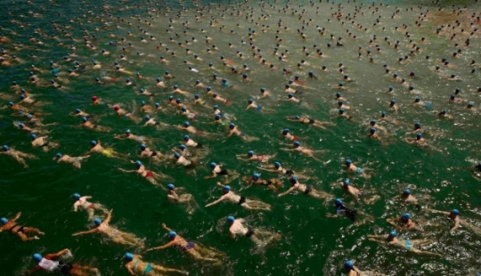 Gorros azules de natación masiva en el lago de Zúrich