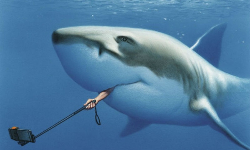 Hacia dónde va nuestro mundo: el dibujante Gerhard Haderer expone los problemas de la sociedad moderna en ilustraciones demasiado honestas Hacia dónde va nuestro mundo: el dibujante Gerhard Haderer expone los problemas de la sociedad moderna en ilustraciones demasiado honestas