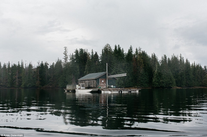 Hacia el desierto, a Alaska: cómo vivir en una isla entre osos y ballenas y no volverse loco